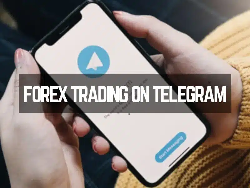 Forex Trading on Telegram